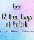 Dam Polish -  12 Dam Days of Polish - 2023 Winter Advent Calendar ( Capped )