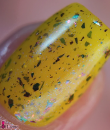 Colores de Carol - Road to Fall Collection-  A-Maize-ing