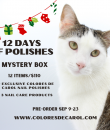 Colores de Carol - "12 Days of Polishes" Box