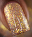 Polished For Days- Moonlit Metals Collection - Gold Dust 