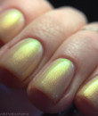 Wildflower Lacquer -  Stay Golden Collection - He Melts My Häagen-Dazs