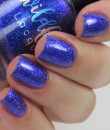 Wildflower Lacquer -  Inaugural Fashion Quad Collection- Ground Breaker