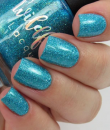 Wildflower Lacquer -  Inaugural Fashion Quad Collection- Intelligence