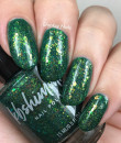 KBShimmer- The Love At Frost Sight Collection- How’s It Growing Flakie Nail Polish