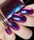 Colores de Carol - Midnight Beetle