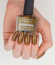 Picture Polish - Fall 2024 - September 